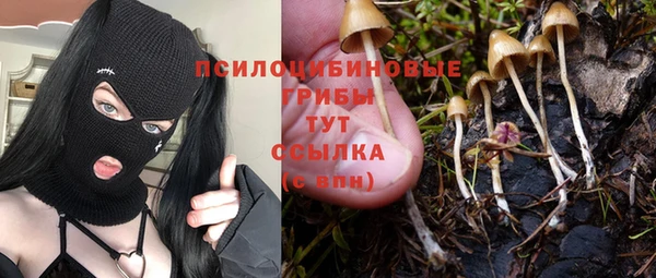 твердый Балахна